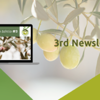 Go2Grove 3rd Newsletter